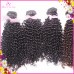 Soft Kinky curly hair 3/4 bundles deal Weaving Raw Virgin Afro Burmese Bouncy Human Hair Weft Accept PayPal